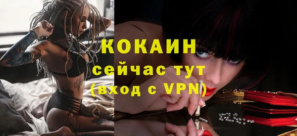 дживик Горнозаводск