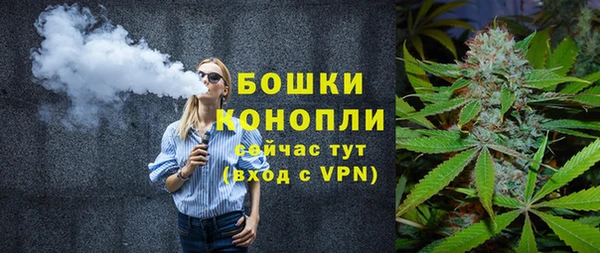дживик Горнозаводск