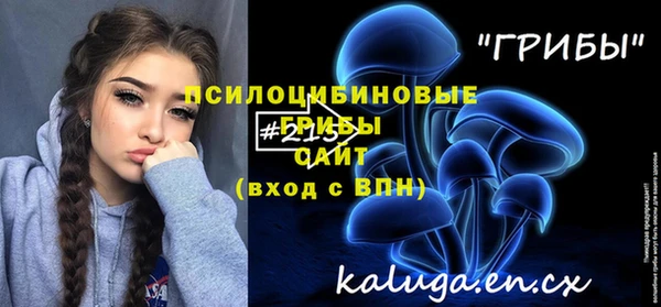 дживик Горнозаводск
