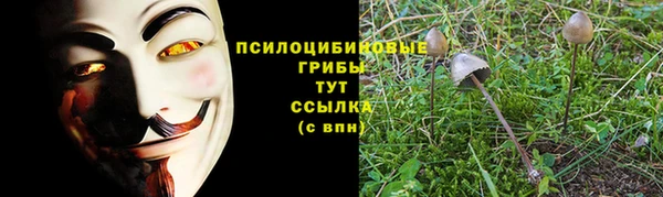 герыч Горняк
